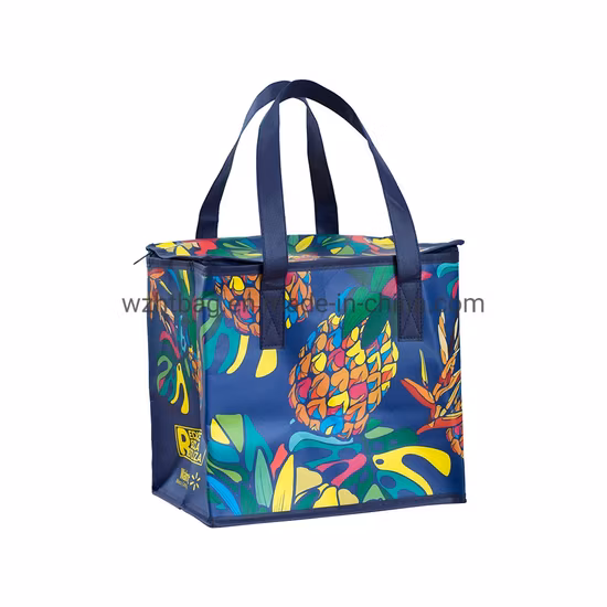 PP Non Woven Bag Factory Custom Eco Friendly Bag Waterproof Thermal Non Woven Insulated Grocery Reusable Ice Bag Shopping Bag Lunch Cooler Bag