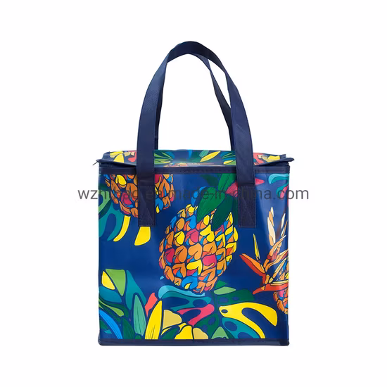 PP Non Woven Bag Factory Custom Eco Friendly Bag Waterproof Thermal Non Woven Insulated Grocery Reusable Ice Bag Shopping Bag Lunch Cooler Bag